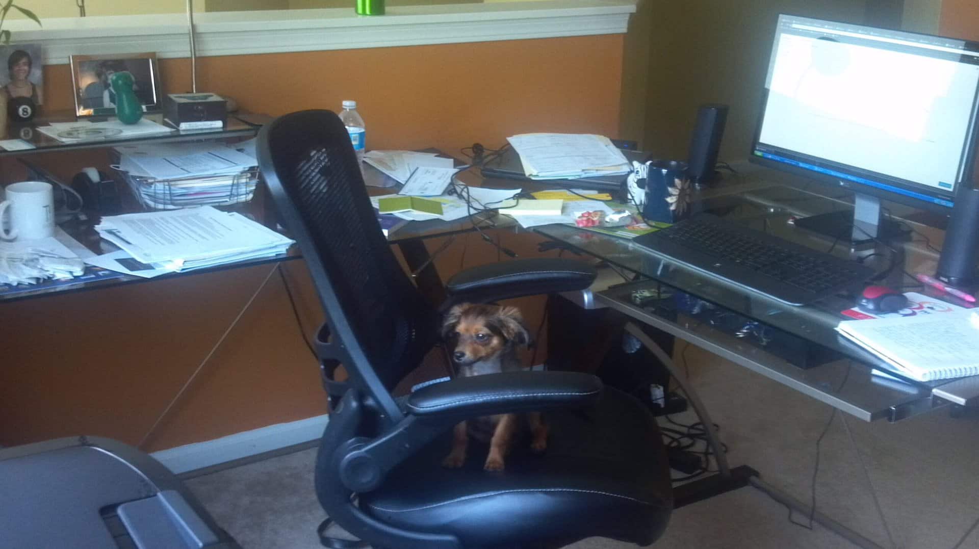 2013-06-03_16-45-53_619