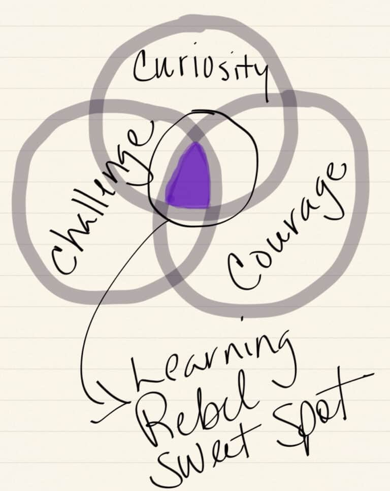 Learning-Rebel-3-C