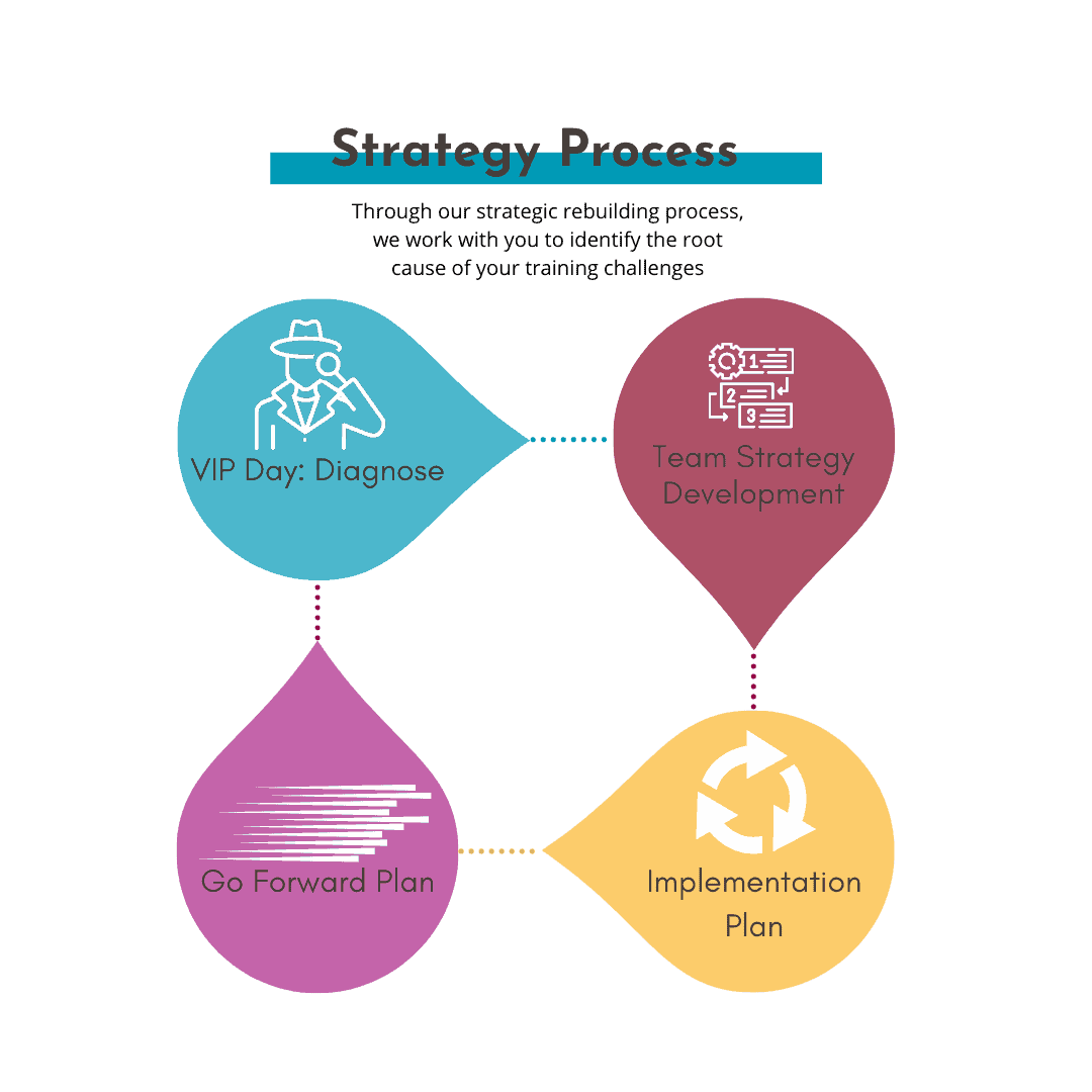 The chart shows four points for the Learning Rebels strategy process: VIP Day Diagnose, Team Strategy Development, Implementation and Go forward plan.