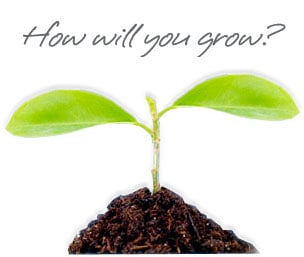 professional_development_plant